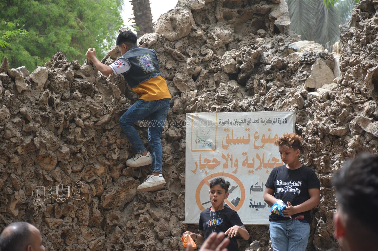 رغم التحذيرات الأطفال يتسلقون الجيلاية والأقفاص بحديقة الحيوانات (6)