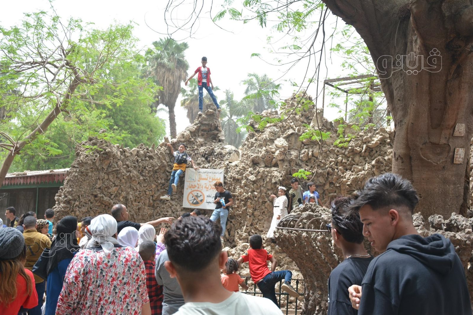 رغم التحذيرات الأطفال يتسلقون الجيلاية والأقفاص بحديقة الحيوانات (8)