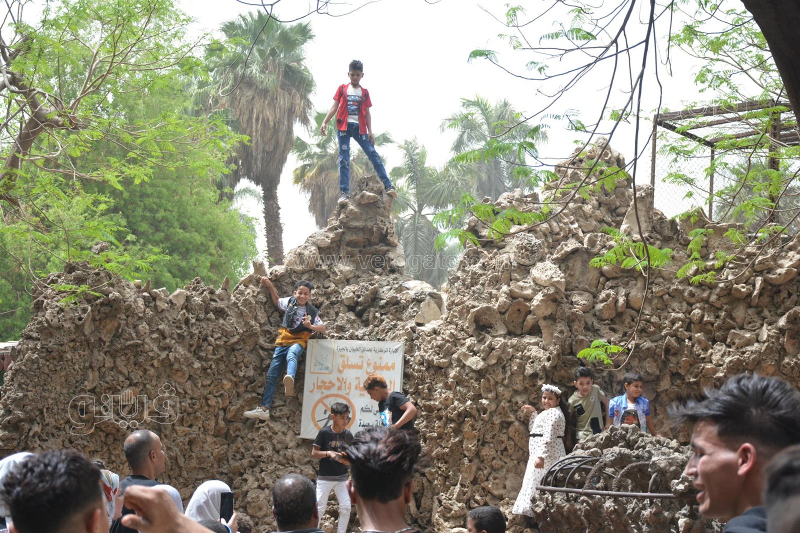 رغم التحذيرات الأطفال يتسلقون الجيلاية والأقفاص بحديقة الحيوانات (16)