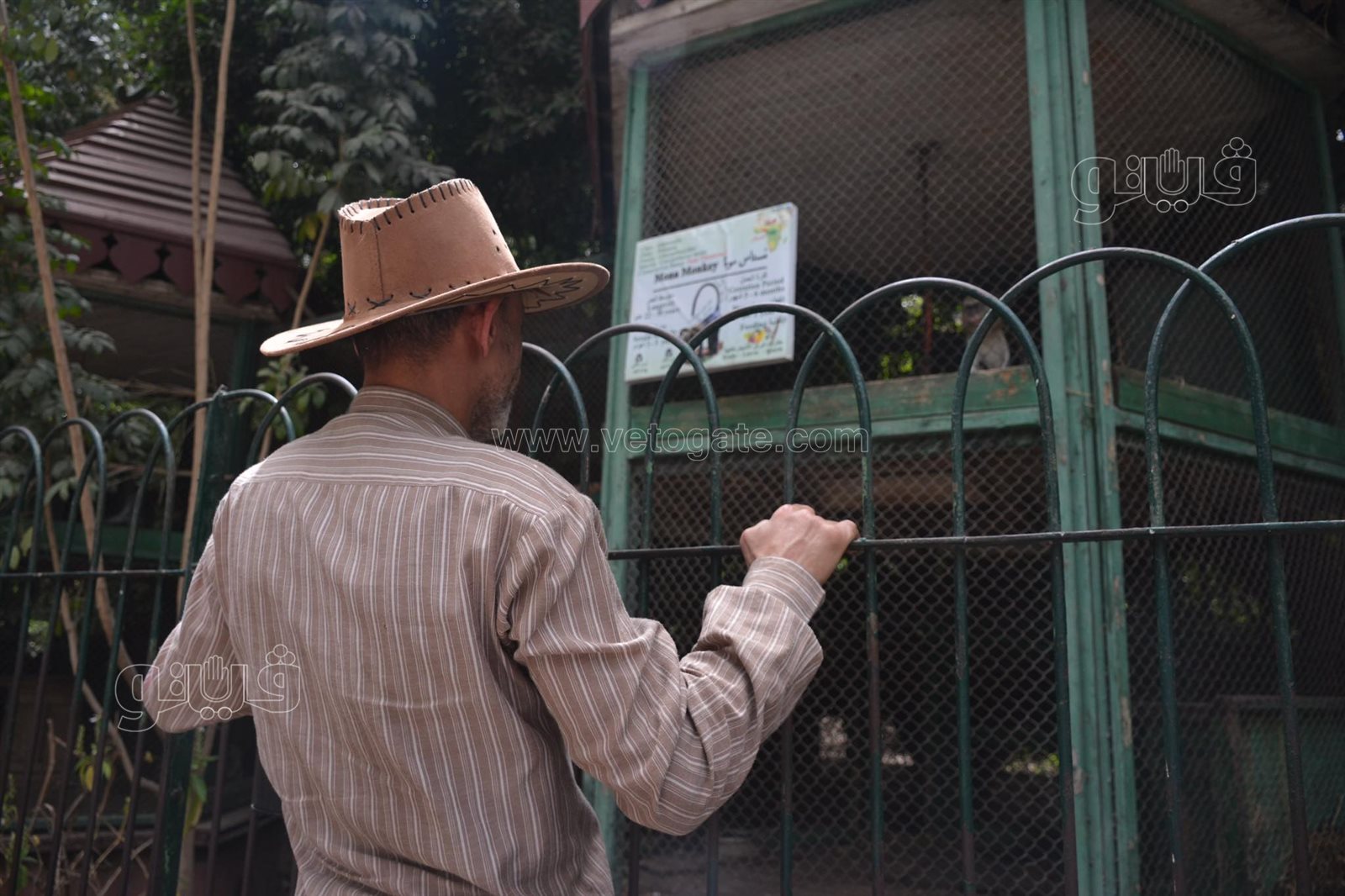 رغم التحذيرات الأطفال يتسلقون الجيلاية والأقفاص بحديقة الحيوانات (18)