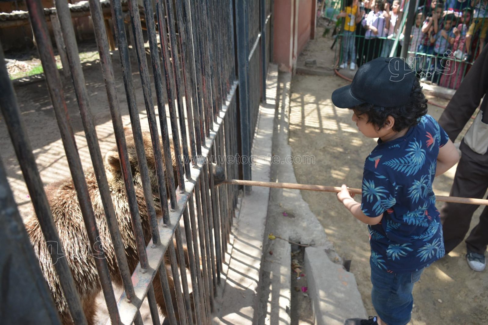 إقبال كثيف على حديقة الحيوان بالجيزة في ثالث أيام عيد الفطر (2)