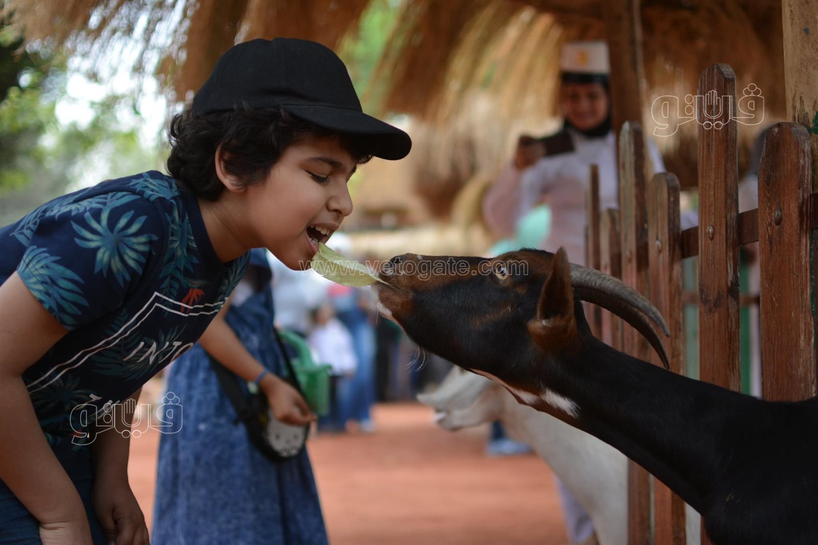 إقبال كثيف على حديقة الحيوان بالجيزة في ثالث أيام عيد الفطر (3)