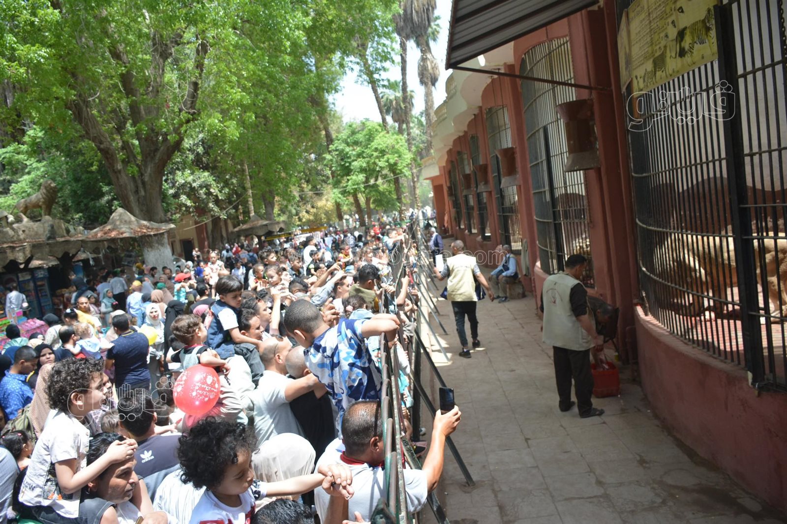 إقبال كثيف على حديقة الحيوان بالجيزة في ثالث أيام عيد الفطر (6)