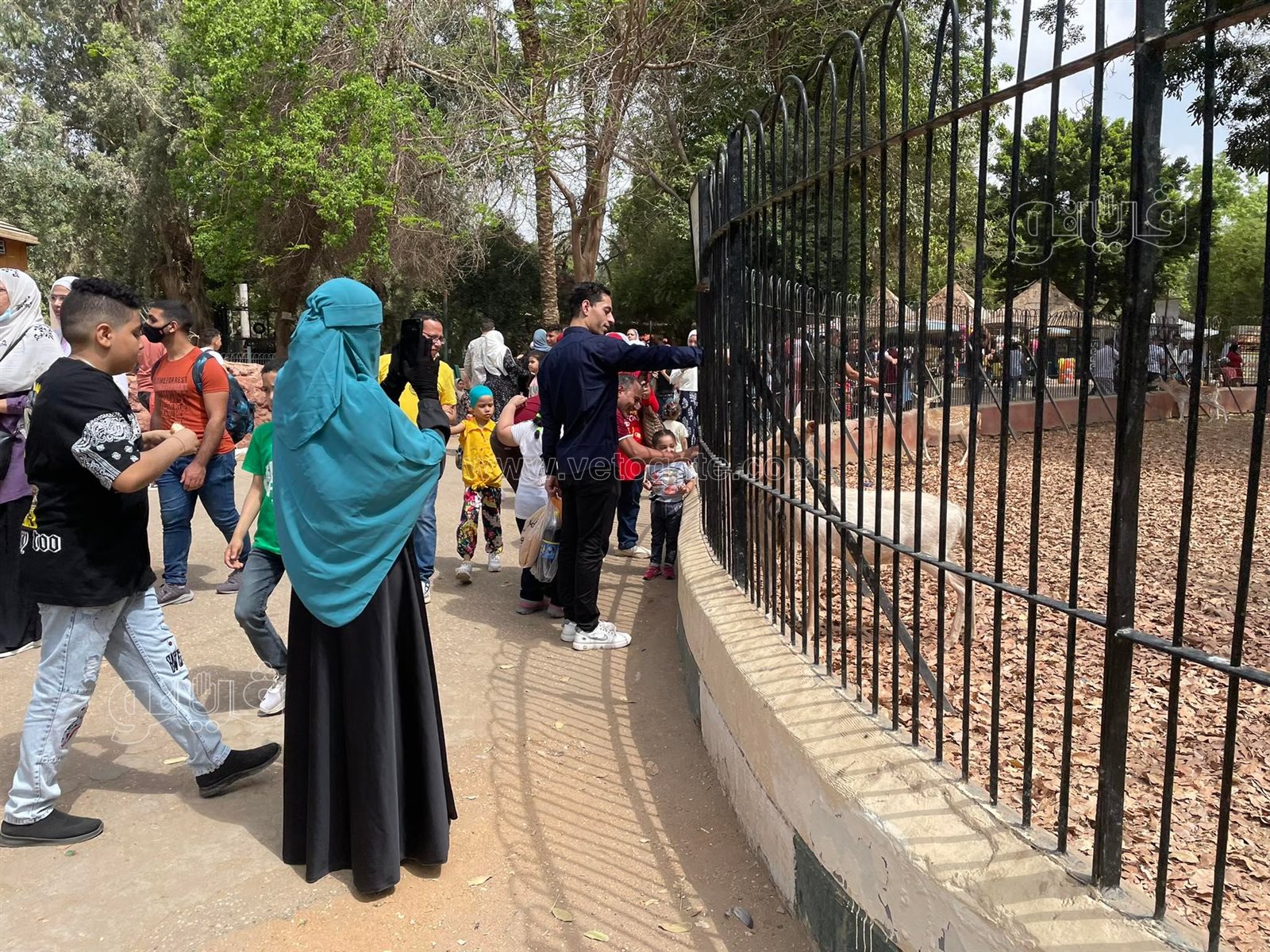 إقبال كثيف على حديقة الحيوان بالجيزة في ثالث أيام عيد الفطر (15)
