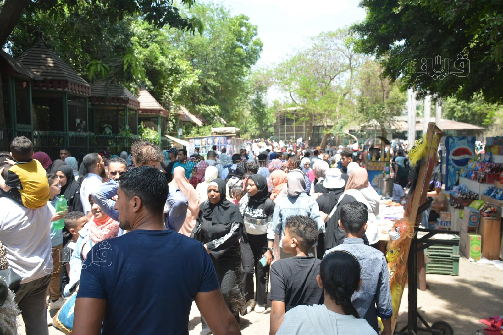 إقبال كبير على حديقة الحيوان (1)