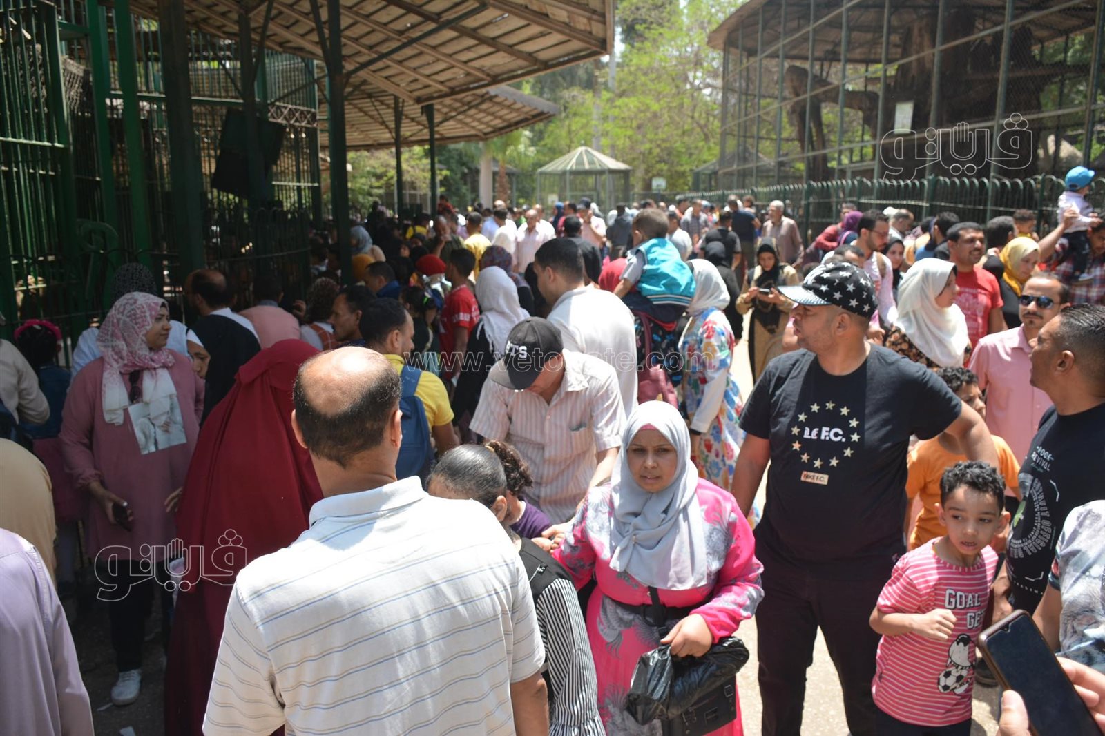 إقبال كبير على حديقة الحيوان (17)