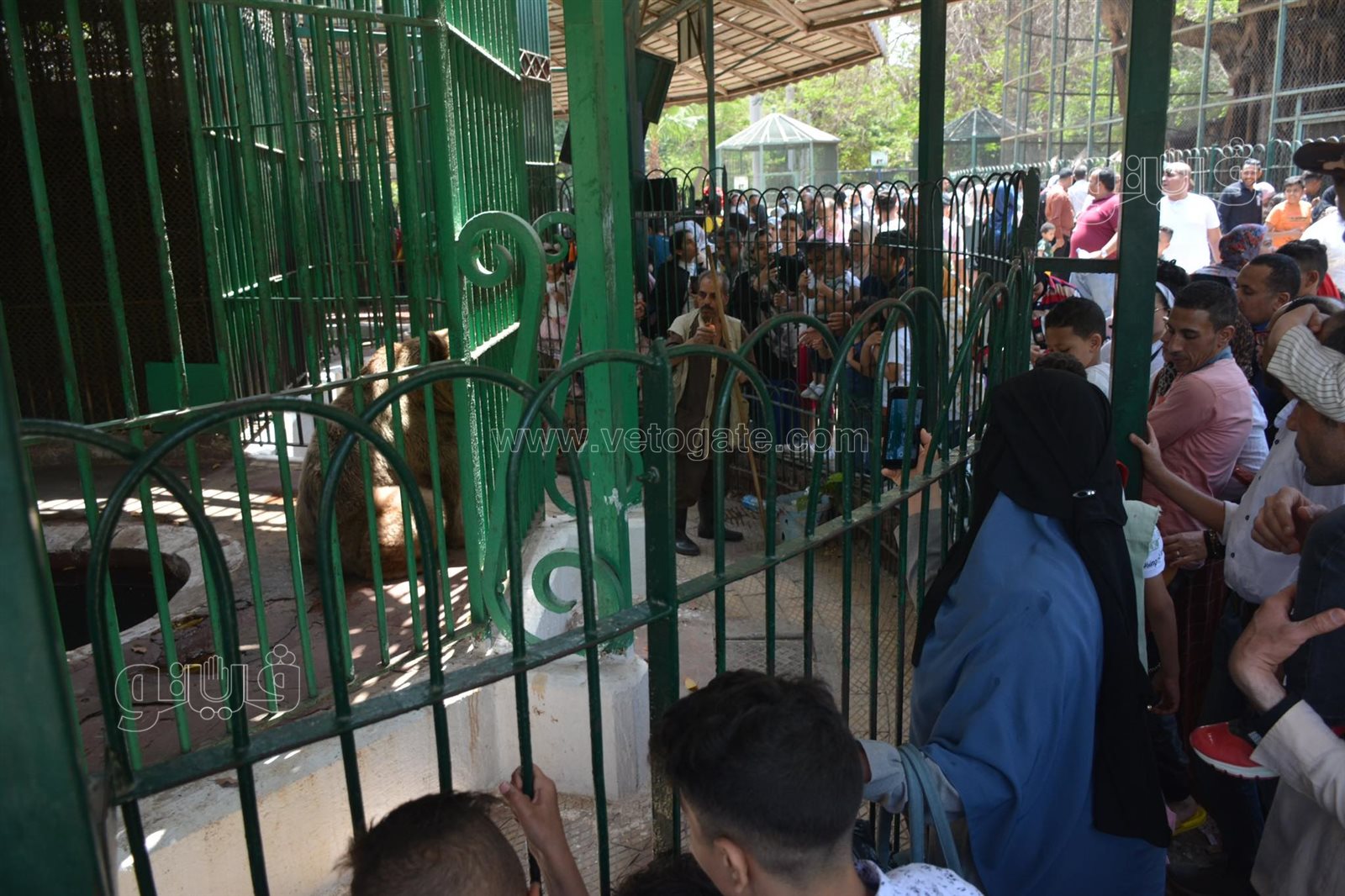 إقبال كبير على حديقة الحيوان (18)