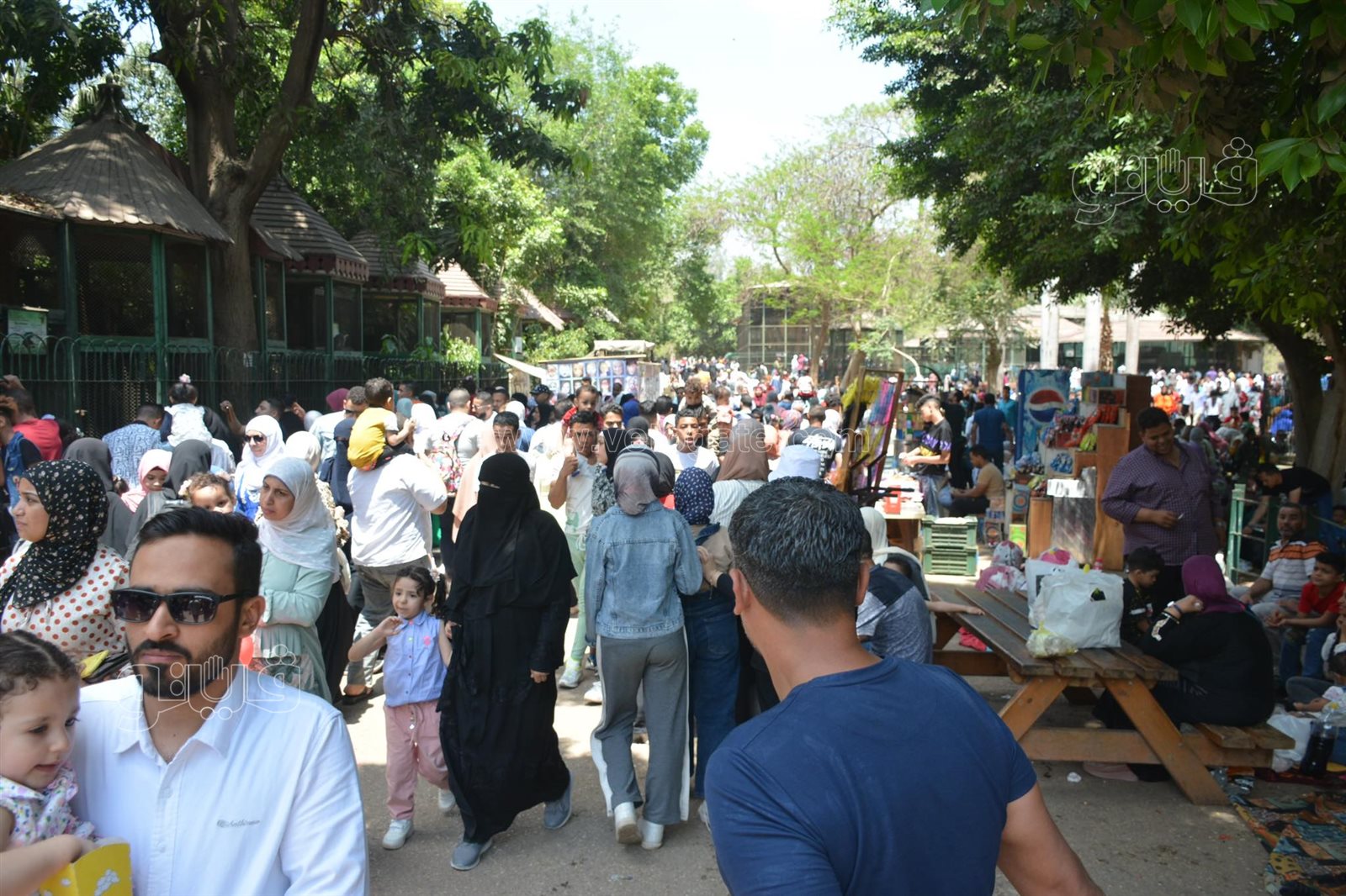 إقبال كبير على حديقة الحيوان (20)