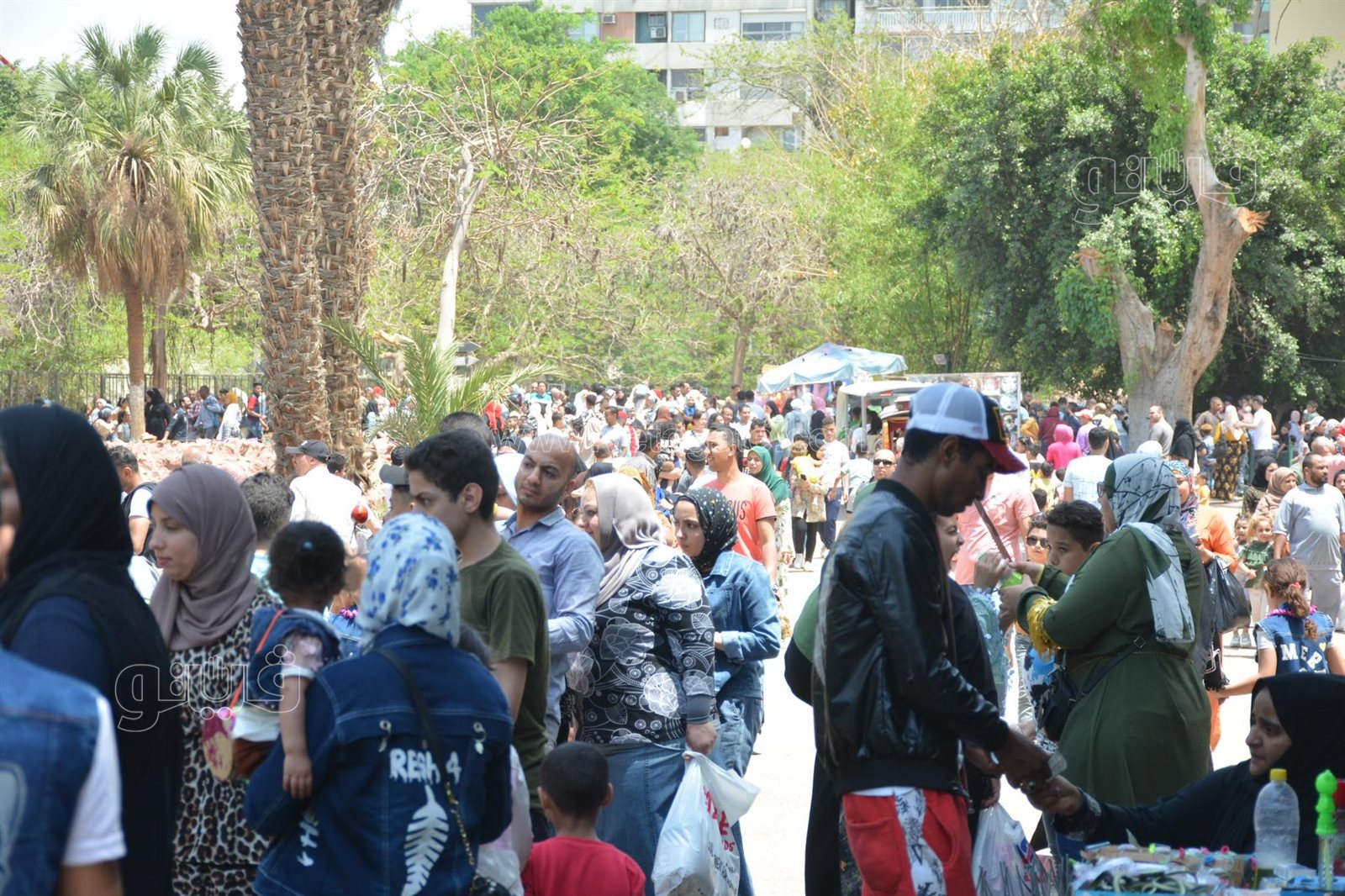 إقبال كبير على حديقة الحيوان (24)