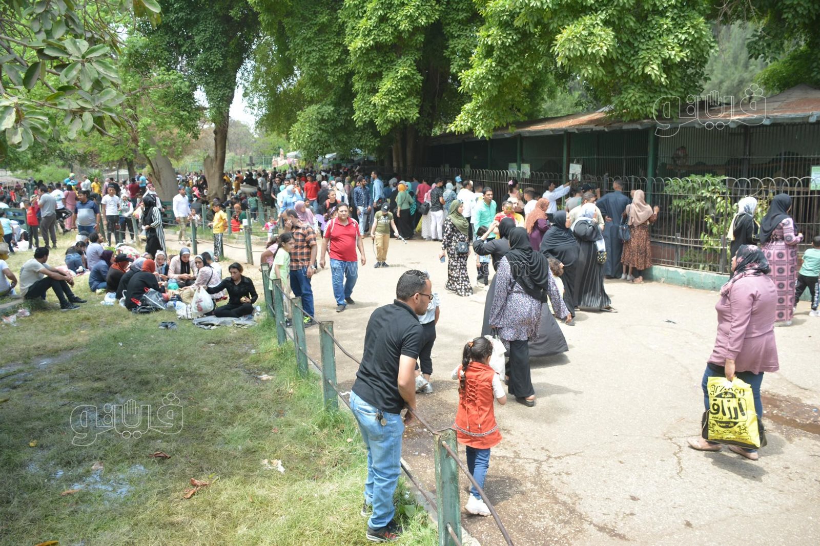 إقبال كبير على حديقة الحيوان (34)