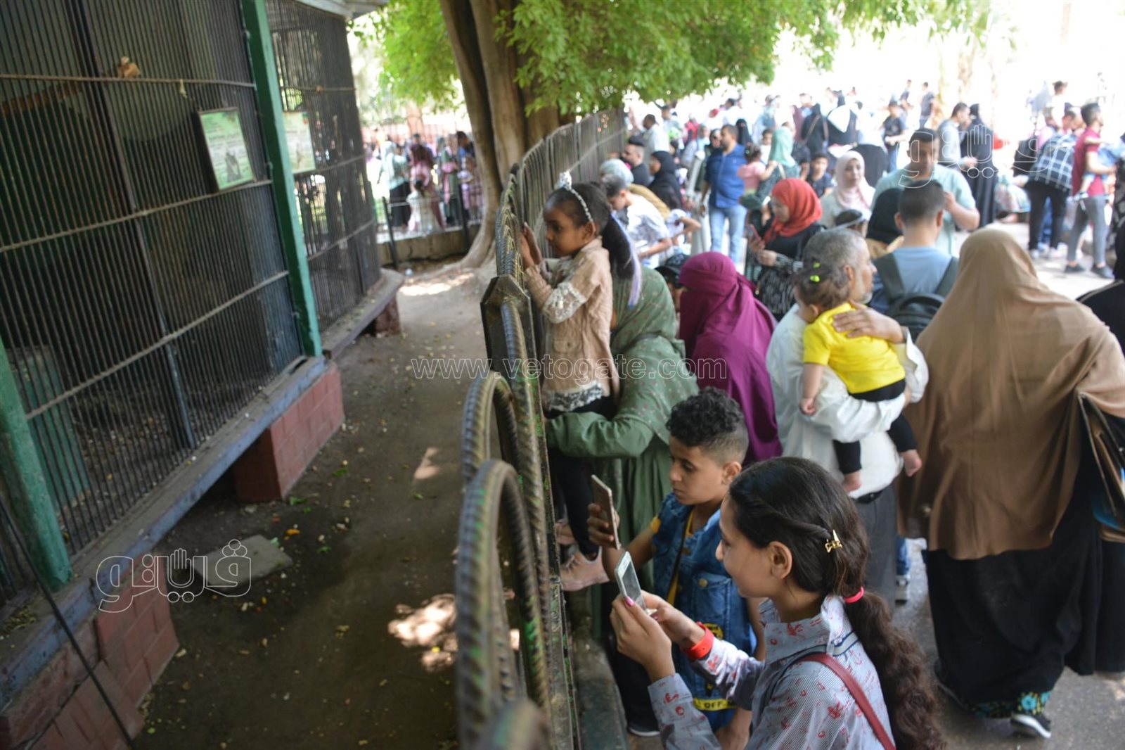 إقبال كبير على حديقة الحيوان (35)