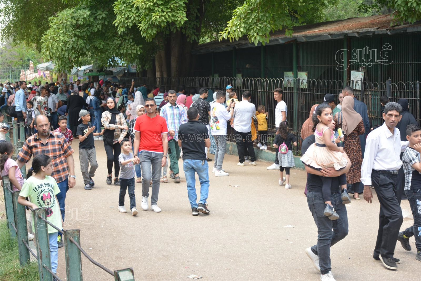 إقبال كبير على حديقة الحيوان (36)