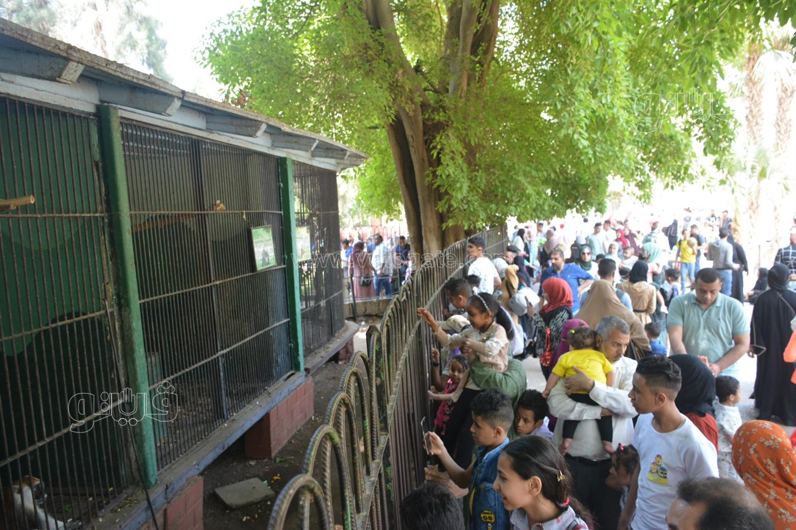 إقبال كبير على حديقة الحيوان (38)