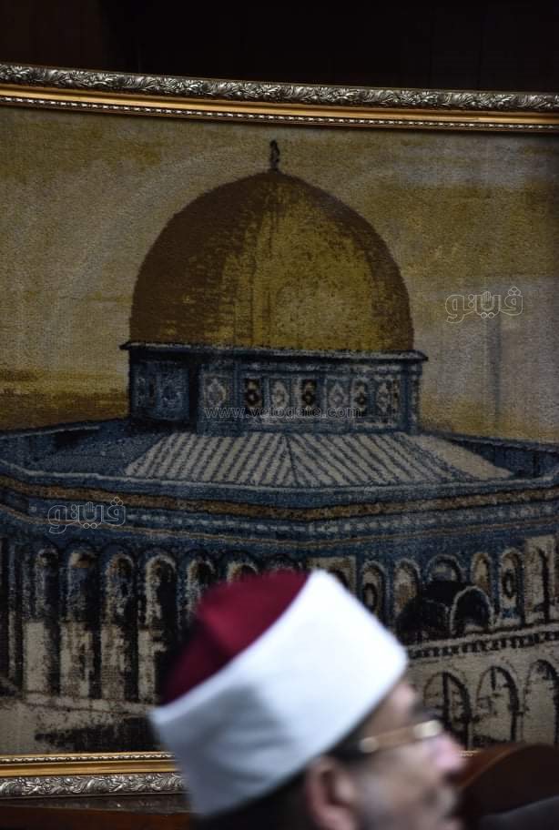 مؤتمر وزير الاوقاف الدكتور محمد مختار جمعة (6)