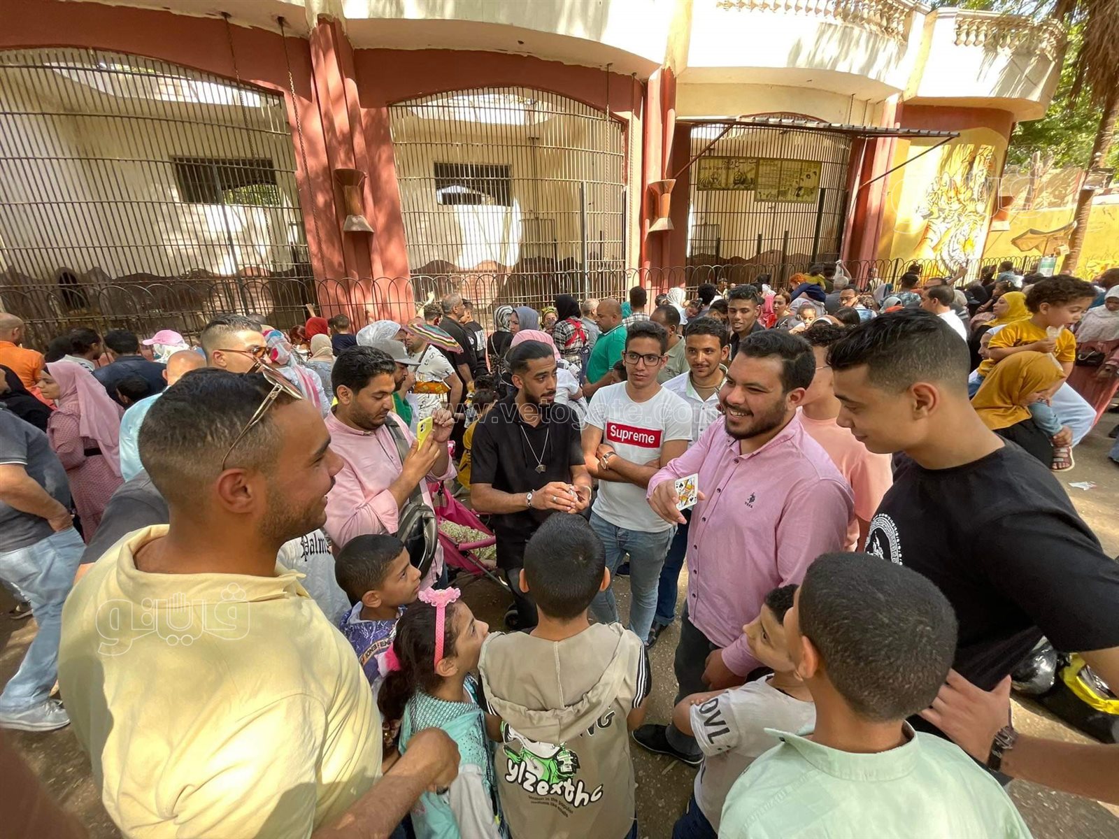 عرض خدع ورق الكوتشينة يبهر زوار حديقة الحيوان (1)