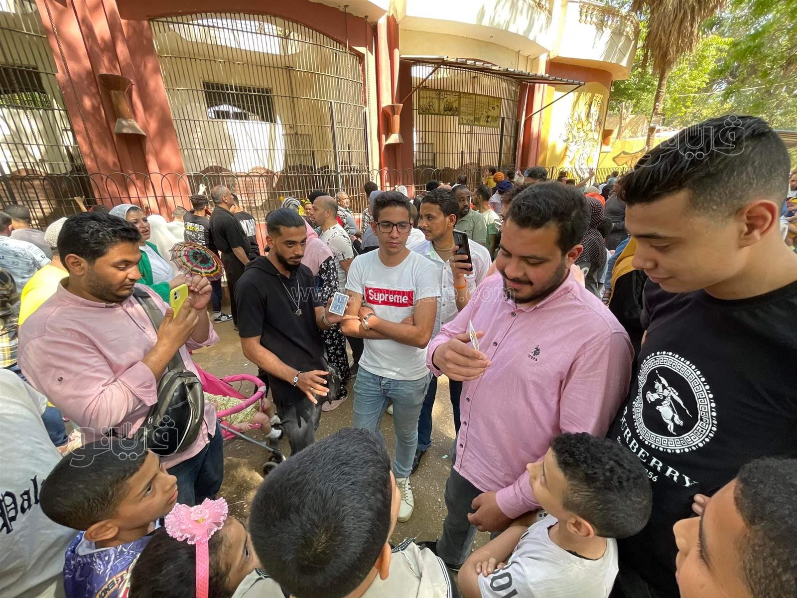 عرض خدع ورق الكوتشينة يبهر زوار حديقة الحيوان (3)