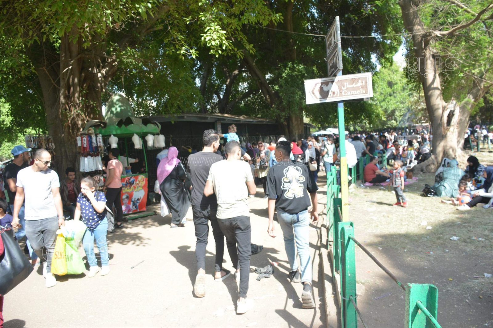 حديقة الحيوان (9)