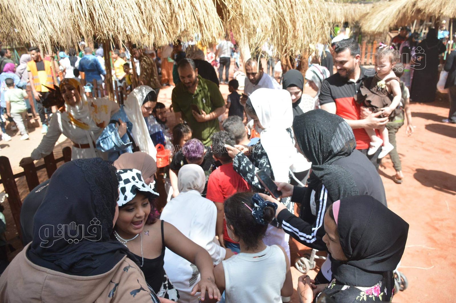 حديقة الحيوان (10)