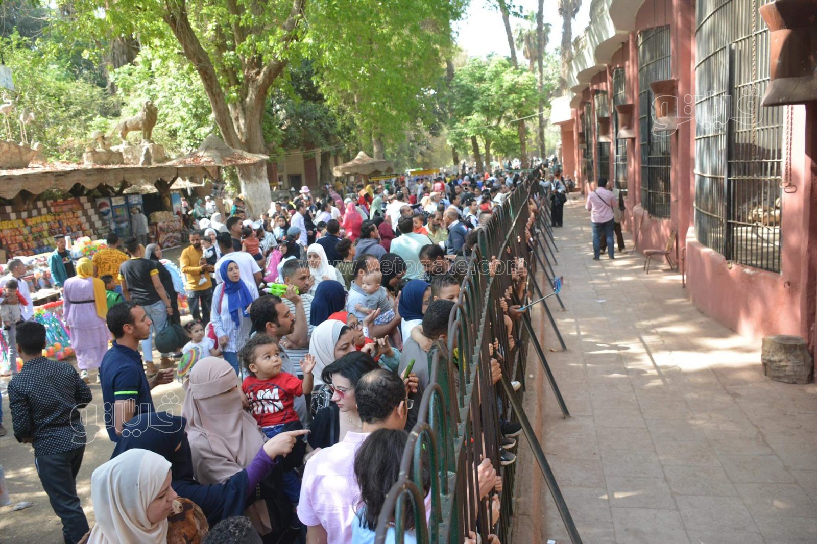 حديقة الحيوان (1)