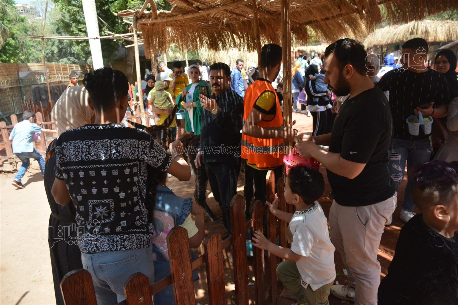 حديقة الحيوان (3)