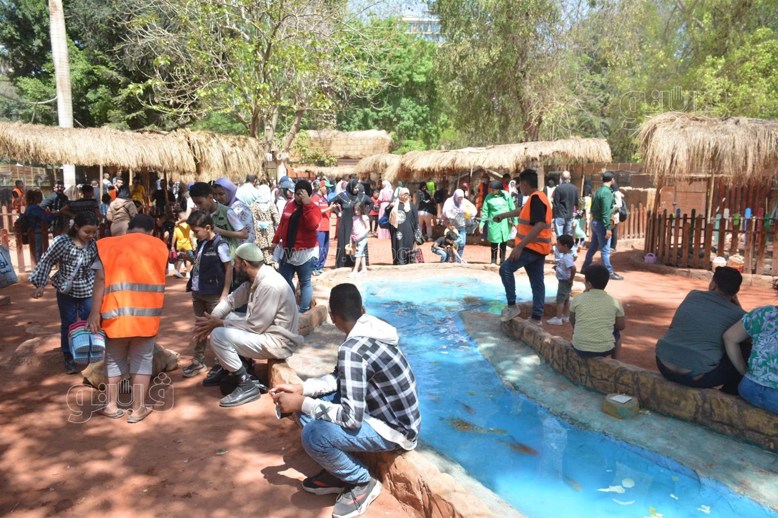 حديقة الحيوان (5)