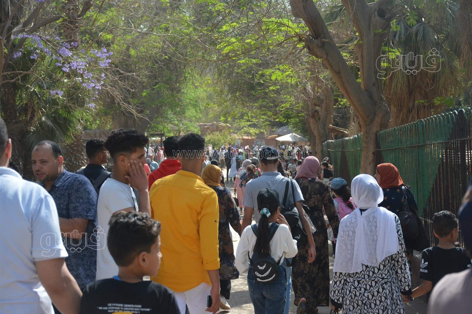 حديقة الحيوان (6)