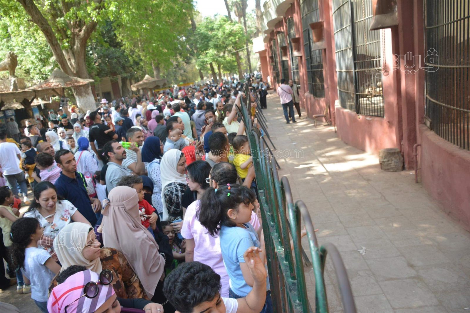 حديقة الحيوان (7)