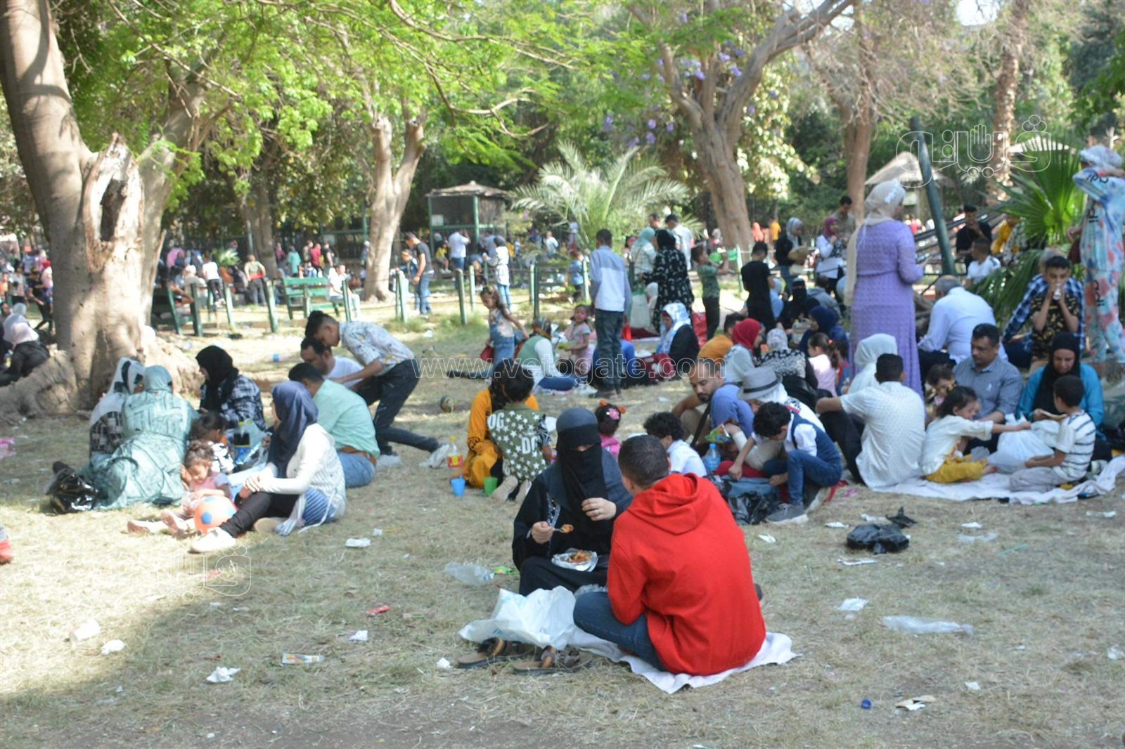 حديقة الحيوان (13)