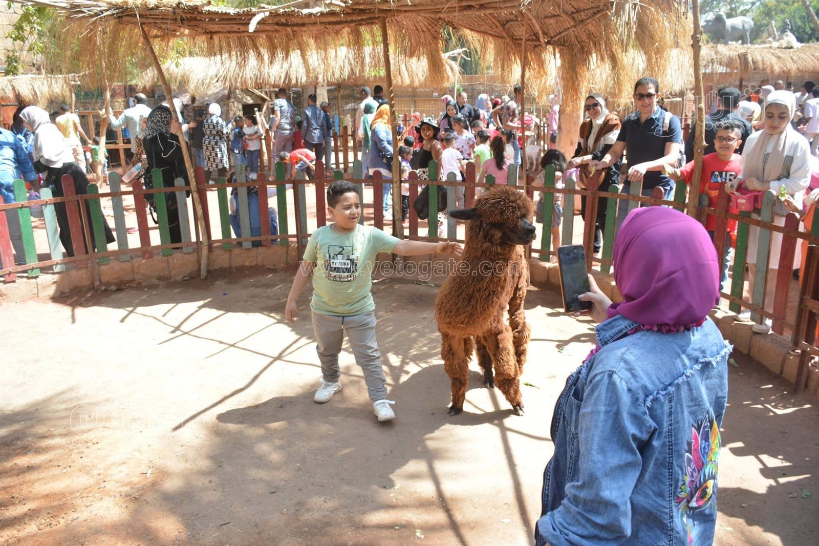 حديقة الحيوان (14)