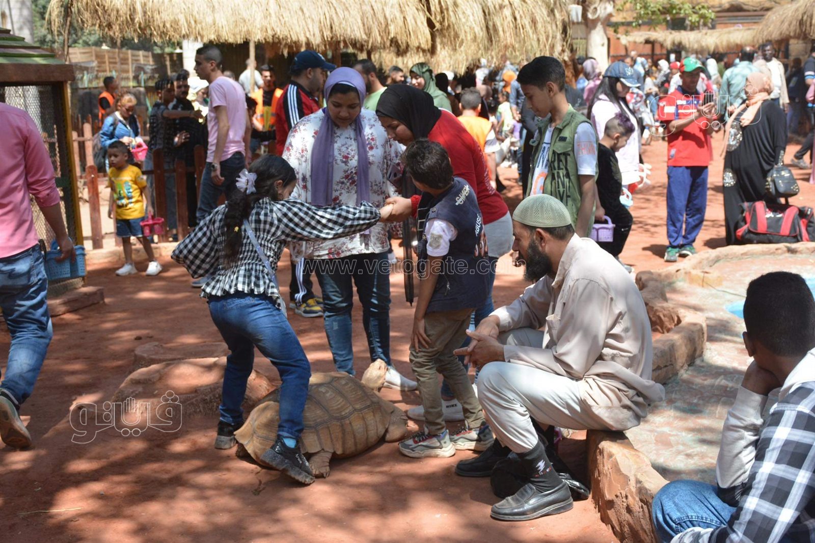 حديقة الحيوان (15)