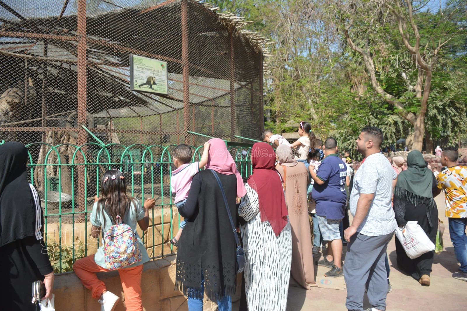 حديقة الحيوان (16)