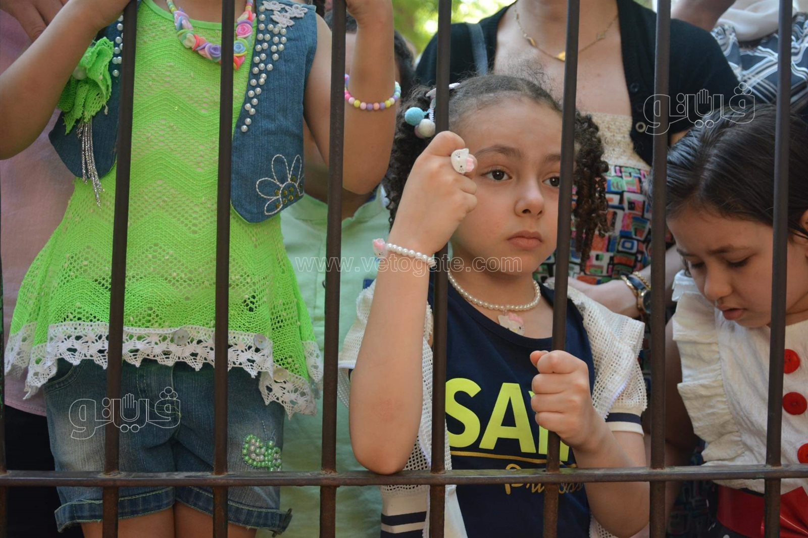 حديقة الحيوان (17)