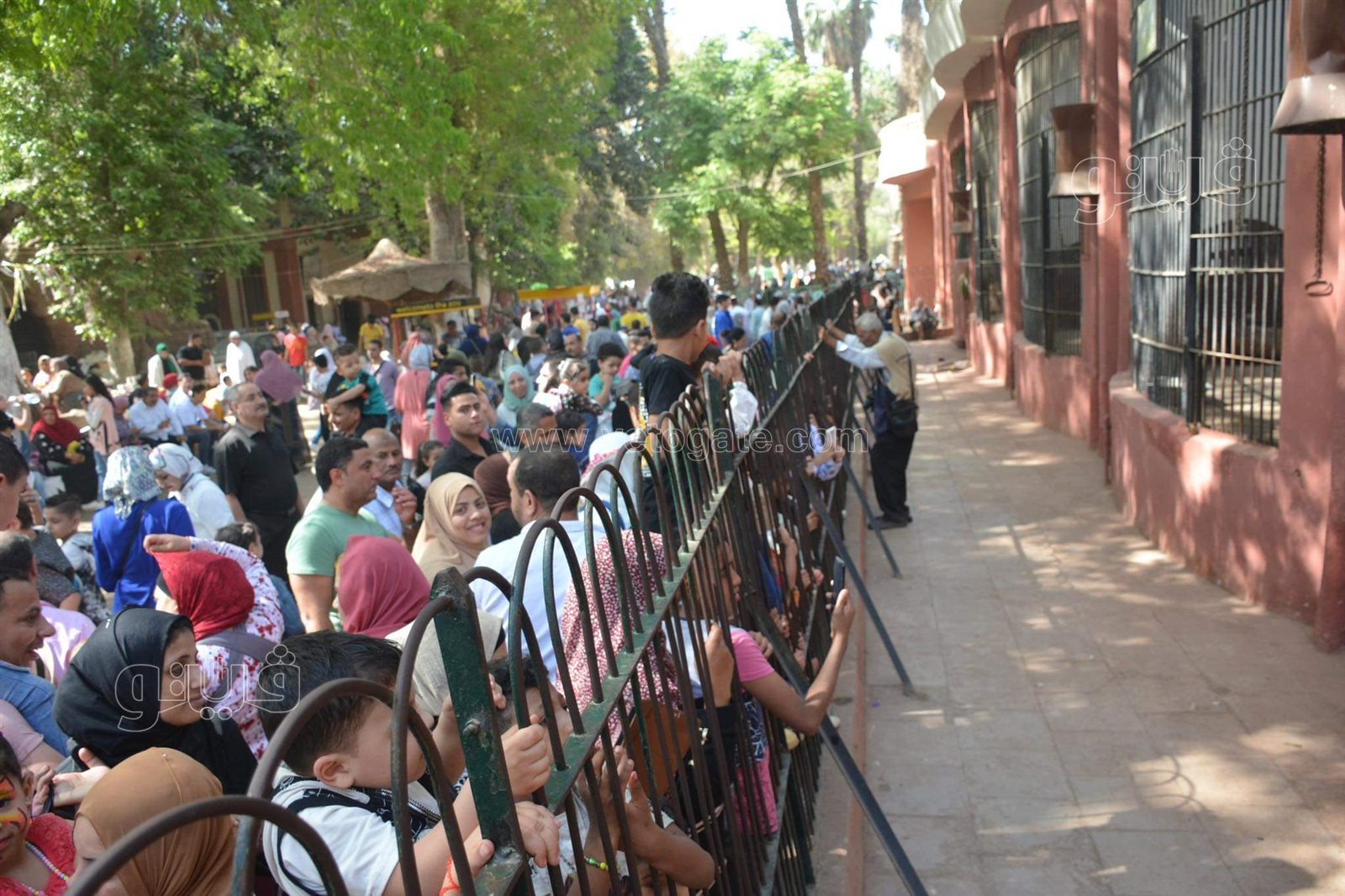 حديقة الحيوان (18)