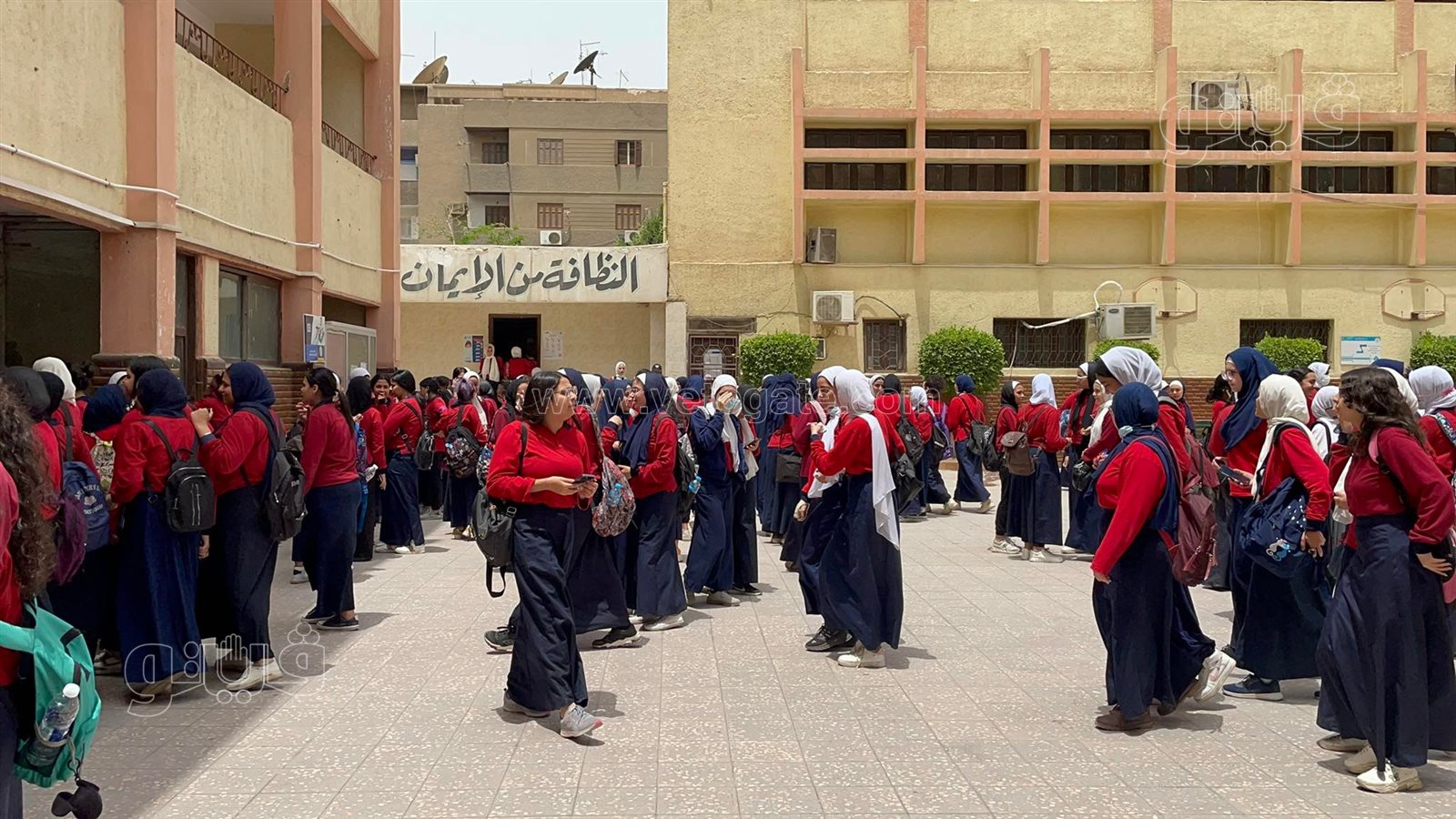 طالبات ثانية ثانوي بالجيزة (1)