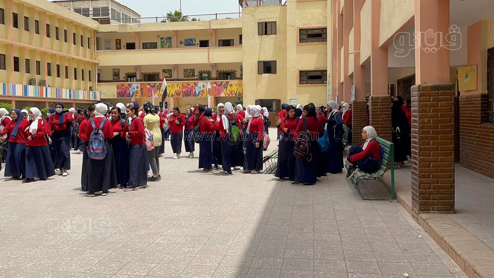 طالبات ثانية ثانوي بالجيزة (3)