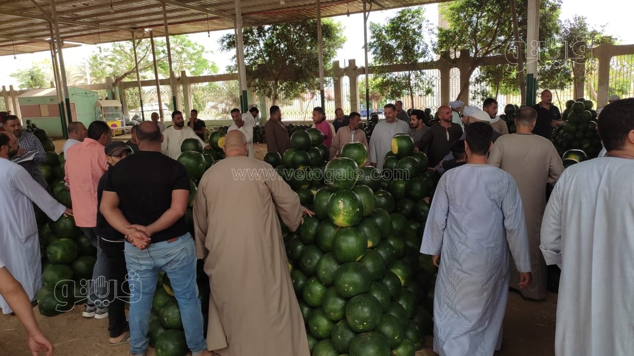 ألا أونا ألا دو ألا تريه..أغرب مزاد في سوق الحمله بأكتوبر (7)