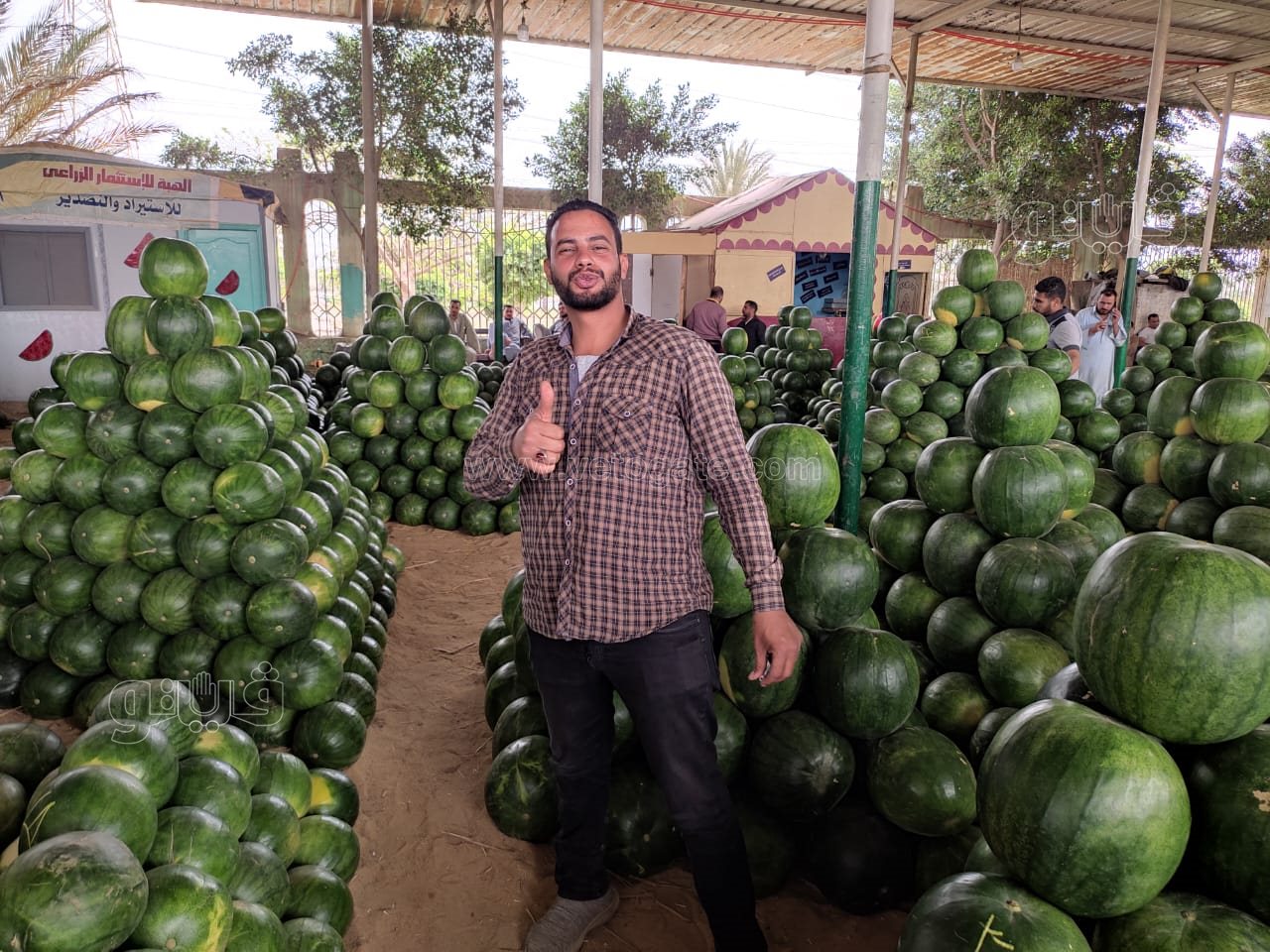 ألا أونا ألا دو ألا تريه..أغرب مزاد في سوق الحمله بأكتوبر (10)