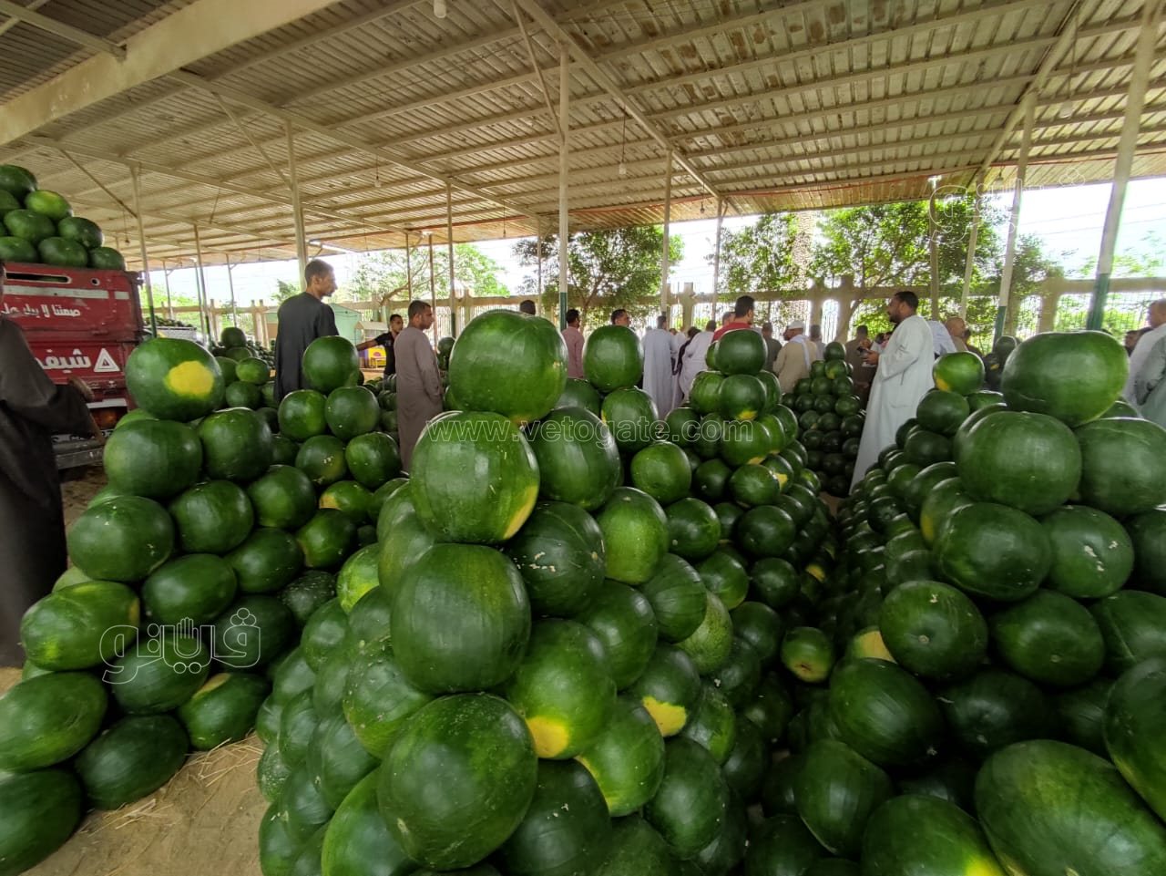 ألا أونا ألا دو ألا تريه..أغرب مزاد في سوق الحمله بأكتوبر (1)