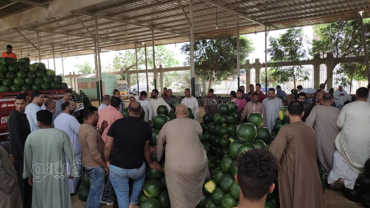 ألا أونا ألا دو ألا تريه..أغرب مزاد في سوق الحمله بأكتوبر (3)