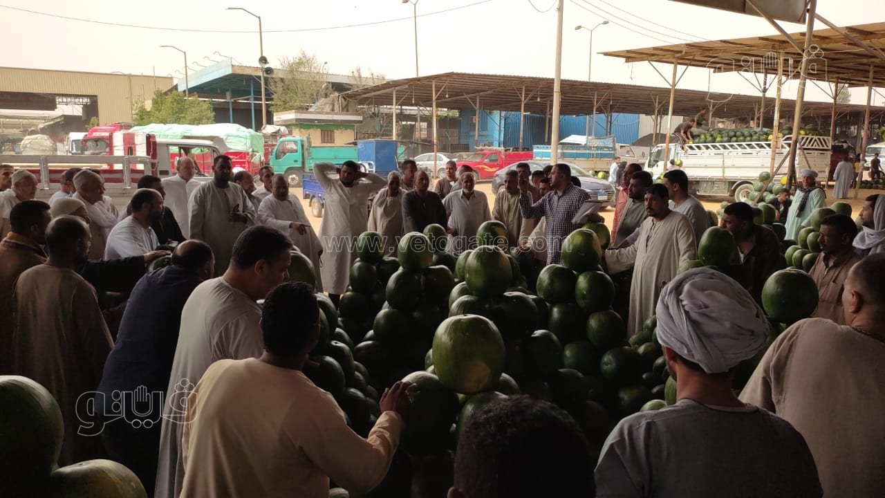 ألا أونا ألا دو ألا تريه..أغرب مزاد في سوق الحمله بأكتوبر (11)