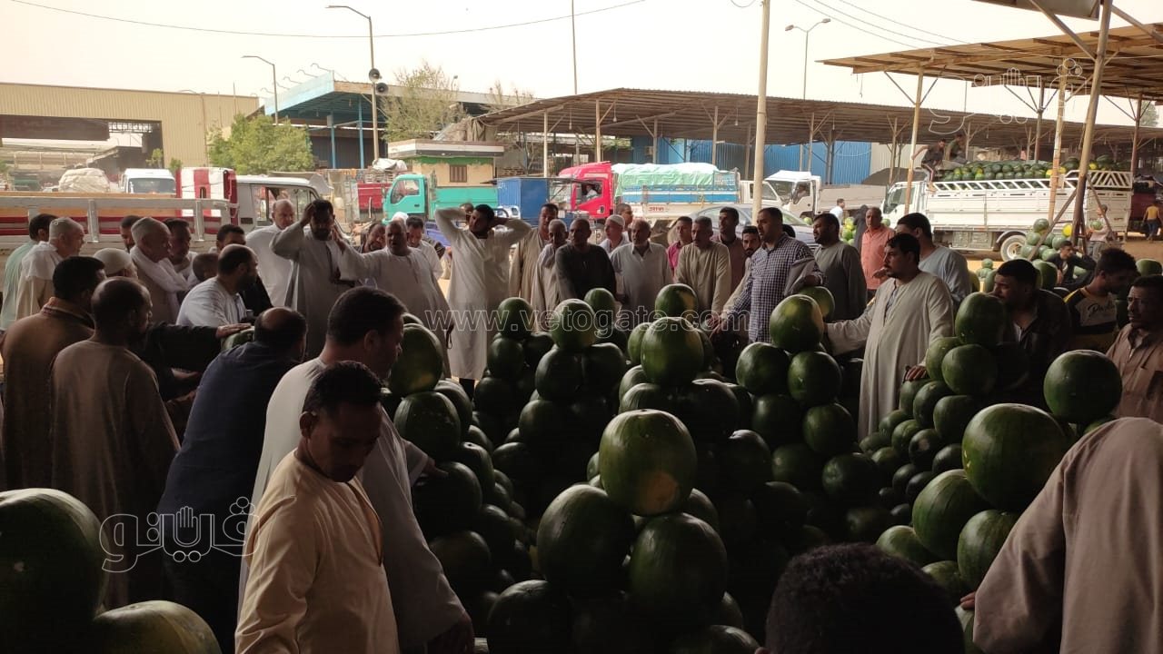 ألا أونا ألا دو ألا تريه..أغرب مزاد في سوق الحمله بأكتوبر (12)