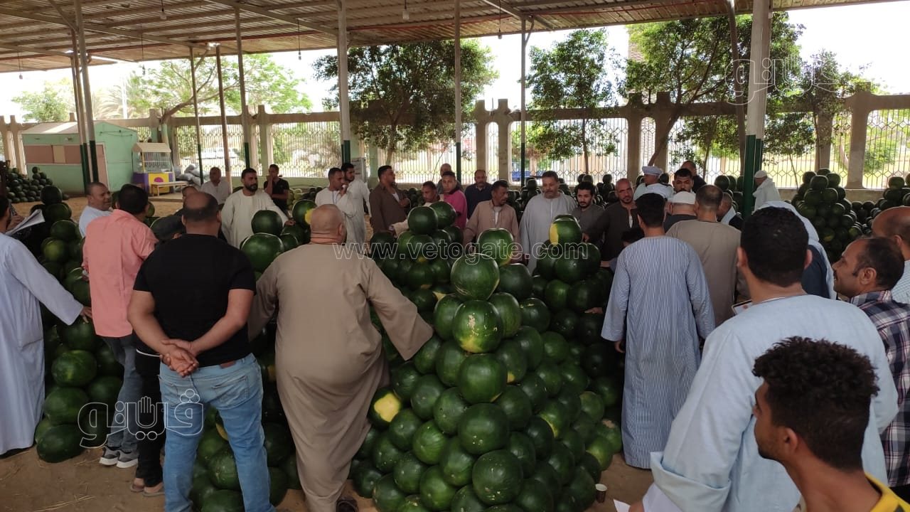 ألا أونا ألا دو ألا تريه..أغرب مزاد في سوق الحمله بأكتوبر (13)