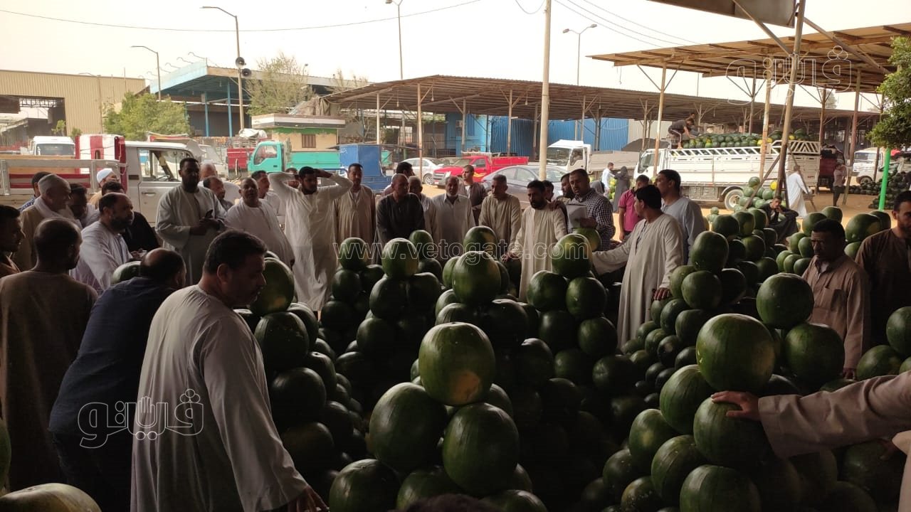 ألا أونا ألا دو ألا تريه..أغرب مزاد في سوق الحمله بأكتوبر (14)