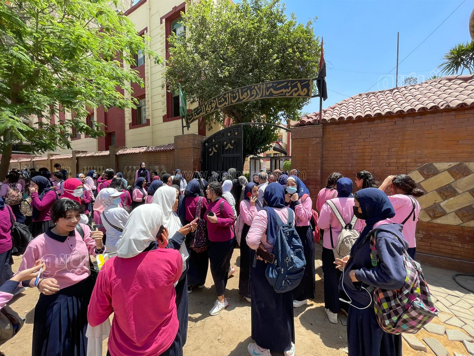 طلاب الصف الثاني الثانوي بالجيزة (3)