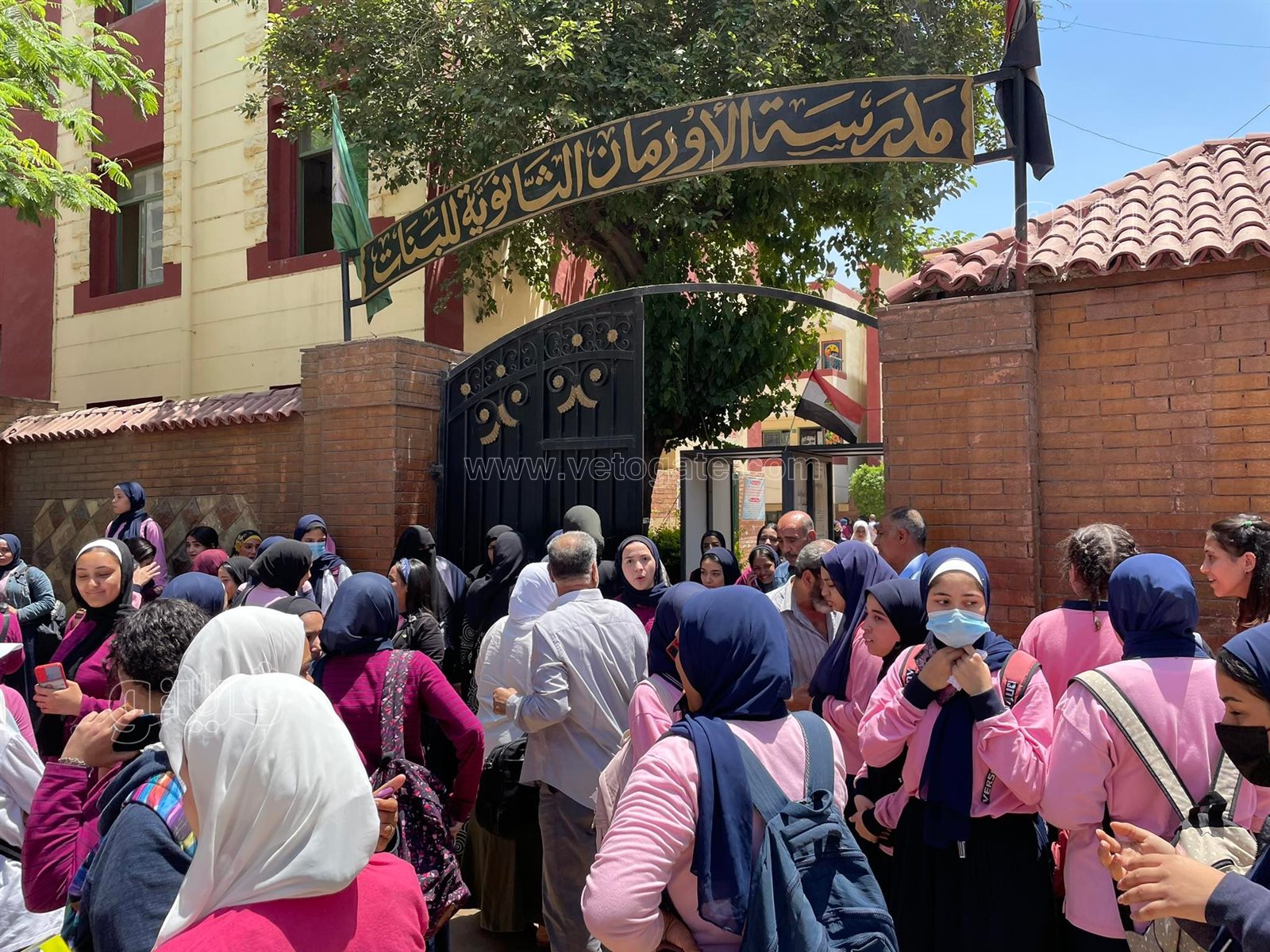 طلاب الصف الثاني الثانوي بالجيزة (6)