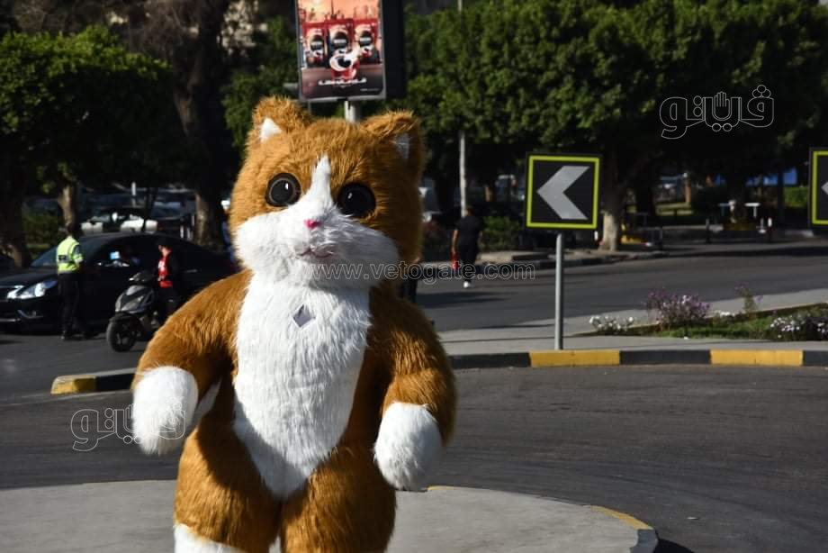 ماراثون القاهرة  (28)