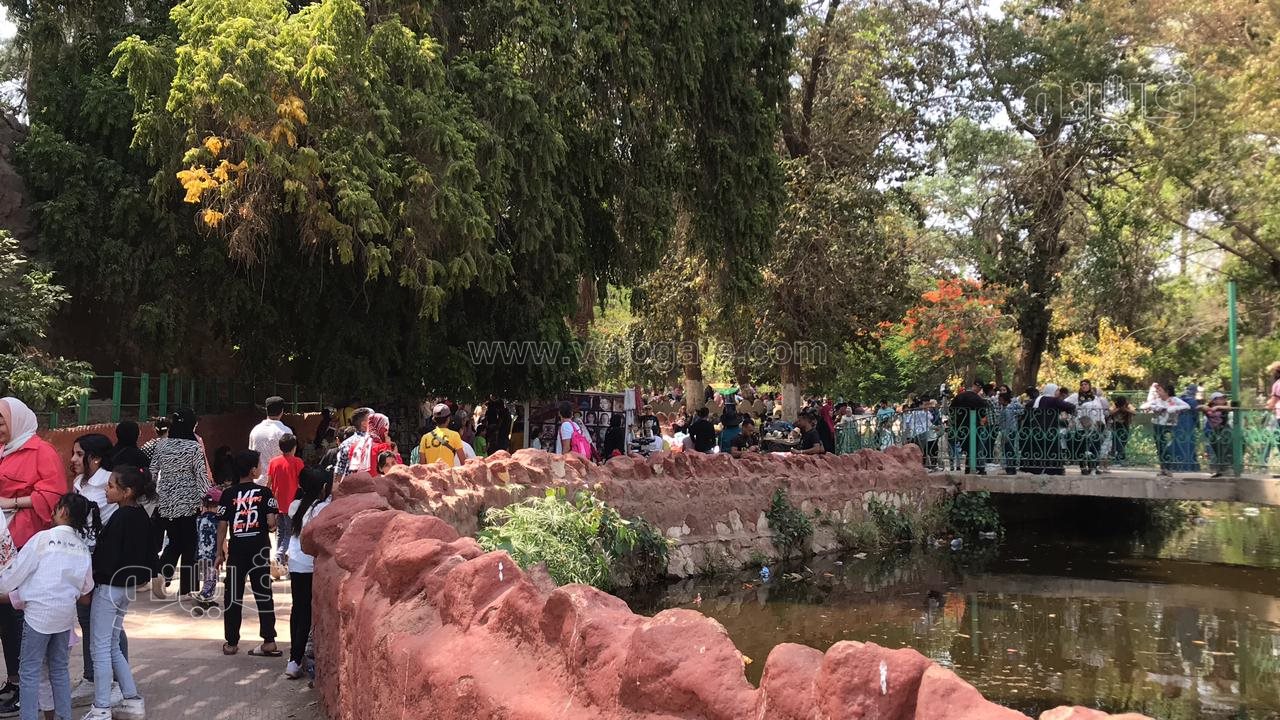 زحام واقبال كبير من العائلات على حديقة الحيوان (4)