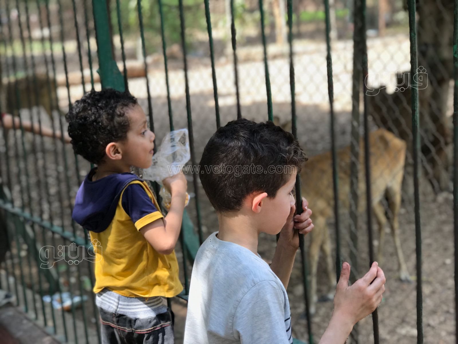 زحام واقبال كبير من العائلات على حديقة الحيوان (2)