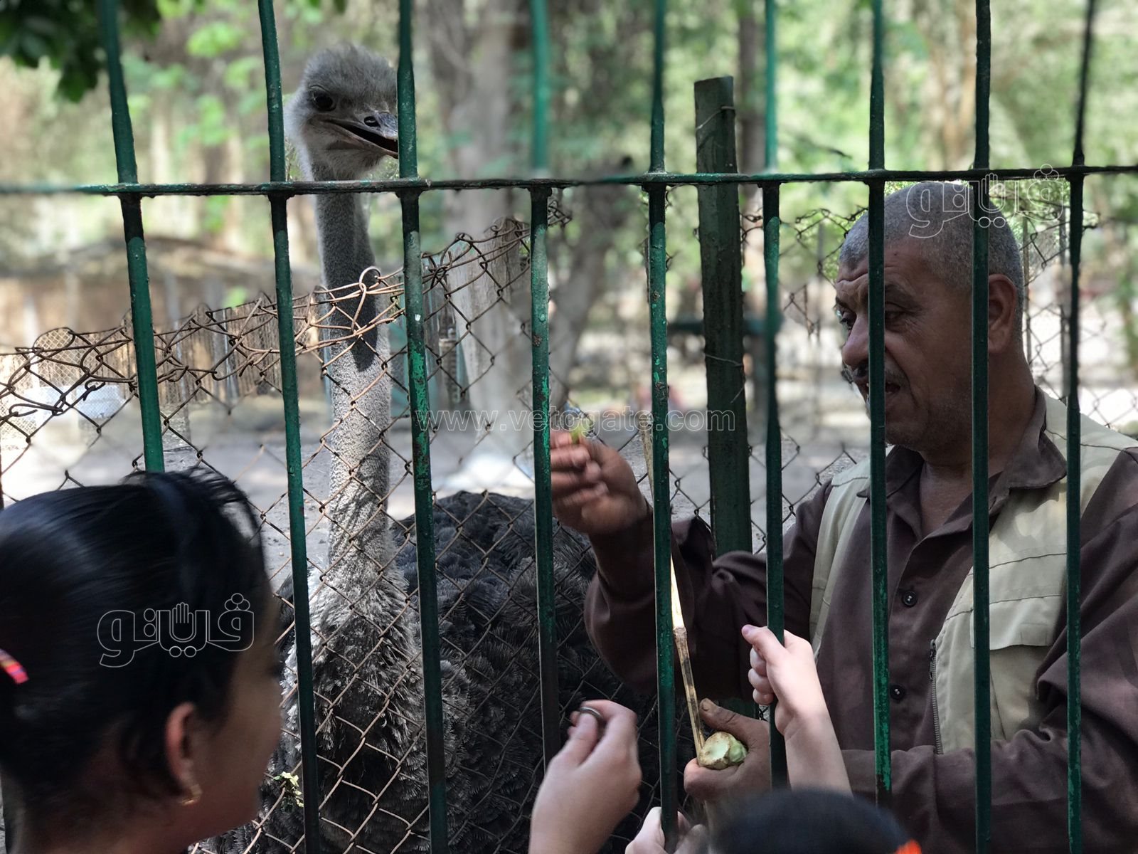 زحام واقبال كبير من العائلات على حديقة الحيوان (7)