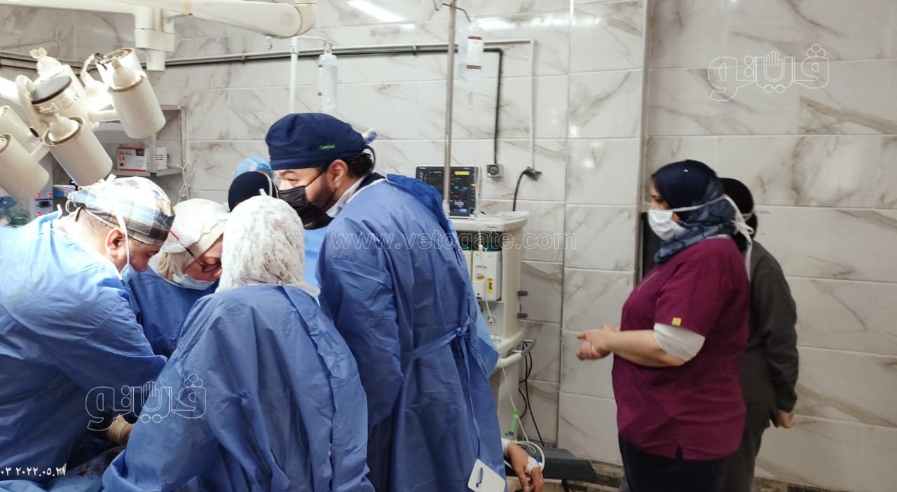 سيدة تضع 5 توائم في ولادة قيصرية (1)